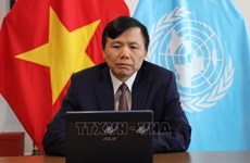 Le Vietnam mettra tout en œuvre pour remplir sa mission au CSNU