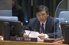 Le Vietnam s'engage à promouvoir la paix et la sécurité internationales