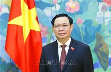Le Vietnam félicite le président de la Douma et les dirigeants du Parlement marocain