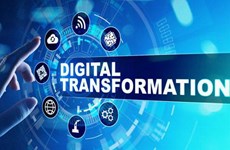 Dà Nang et le ministère des Finances pionniers de la transformation numérique