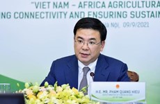 Le Vietnam souhaite promouvoir sa coopération avec les pays africains