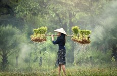 Comment garantir la sécurité alimentaire en Asie-Pacifique?