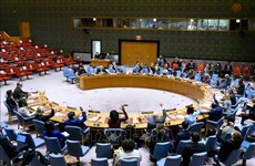Le Vietnam appelle à la pleine mise en œuvre des obligations du droit international humanitaire en Éthiopie 
