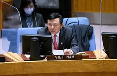 Le Vietnam soutient les opérations de maintien de la paix et de police de l'ONU 