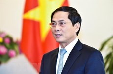 La réélection à la CDI traduit la confiance internationale en le Vietnam