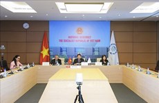 Le Vietnam préside la réunion du groupe ASEAN+3 de l’UIP