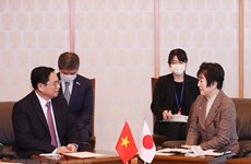 Le Premier ministre Pham Minh Chinh rencontre les dirigeants de la Diète du Japon