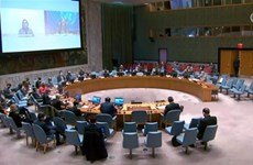 Le Vietnam à des débats sur la réforme du Conseil de sécurité et la situation en Libye