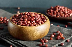 Favoriser l’exportation de haricots rouges et de produits transformés vers le Japon