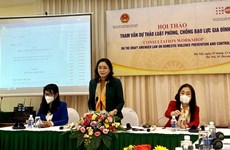 Le FNUAP soutient les efforts du Vietnam contre la violence domestique