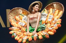 Les costumes à croquer des candidates vietnamiennes à Miss Univers 