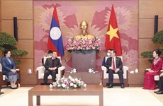Entretien entre les présidents des Assemblées nationales du Vietnam et du Laos 