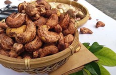 L’Allemagne, marché potentiel pour les exportations vietnamiennes de noix de cajou en 2022 