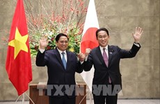 Relations extérieures : les relations Vietnam-Japon appréciées