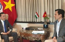 Les relations Vietnam-Inde disposent de grands potentiels