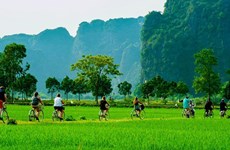 Le tourisme vert promis à un bel avenir au Vietnam