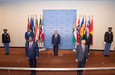 Le Vietnam remplit son mandat de membre non permanent du Conseil de sécurité des Nations Unies