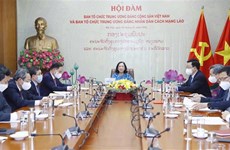 Vietnam-Laos: entretien en ligne entre les chefs des Commissions d’organisation des CC des Partis
