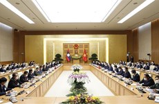 Entretien entre les Premiers ministres du Vietnam et du Laos