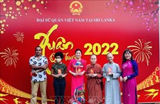 Les Vietnamiens dans plusieurs pays fêtent le Têt