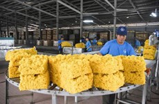 Les exportations de caoutchouc du Vietnam continueront de croître en 2022