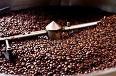 Café: de nombreux potentiels pour augmenter les exportations nationales