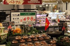 Les produits agroalimentaires vietnamiens se vendent bien au Japon