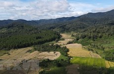 Gia Lai préserve et met en valeur la Réserve mondiale de biosphère de Kon Ha Nung