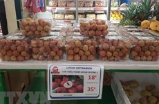 La diaspora appelée à promouvoir les produits agricoles vietnamiens