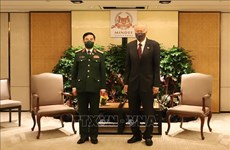 Le Vietnam et Singapour promeuvent leur coopération dans la défense