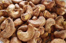 Risque de fraude pour 100 conteneurs de noix de cajou exportés vers l’Italie