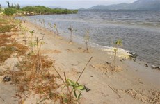 Le Vietnam consacre 70% de son budget aux efforts d’adaptation au changement climatique