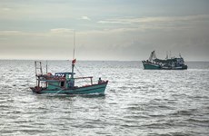 La gestion des bateaux de pêche par satellite pour voir la vie en vert
