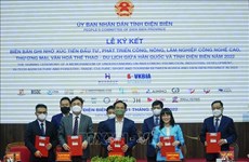 Diên Biên noue des liens multiformes avec des partenaires sud-coréens