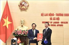 Le Vietnam et l'Australie signent un protocole d’accord de coopération dans le secteur agricole