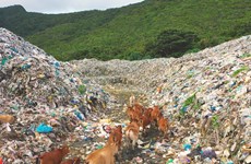 L'île de Côn Dao lance un programme de réduction des déchets plastiques