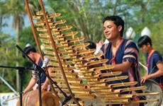 Can Tho : une exposition d’instruments musicaux d’ethnies vietnamiennes prévue au début d’avril