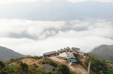 Dans le Nord-Ouest, excursions enchanteresses de chasse aux nuages à Bac Yên