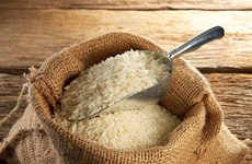 Le riz du Vietnam continue de maintenir sa position de leader en prix