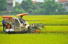 Le Vietnam atteint avant terme l'OMD dans la réduction de la pauvreté