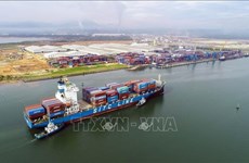 Les ports maritimes de Quang Nam voient grand