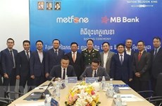 Des entreprises vietnamiennes aident moderniser le réseau de télécommunications au Cambodge