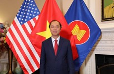 De bonnes perspectives pour les relations Vietnam – États-Unis 