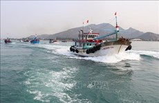 Les pêcheurs maintiennent leurs activités dans les eaux du Vietnam