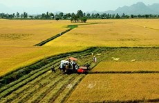 Ninh Thuân pousse le développement agricole et rural durable