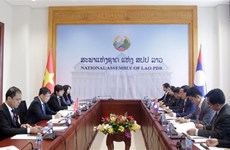 Vietnam-Laos: Renforcement de la coopération entre les Commissions des relations extérieures des AN