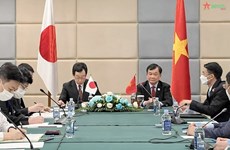 Rencontre bilatérale des vice-ministres de la Défense du Vietnam et du Japon