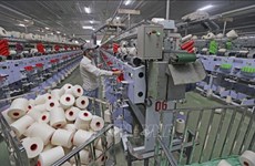 Le RCEP aide à améliorer l’accès du Vietnam aux grands marchés de consommation