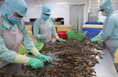 Les ventes de crevettes frétillent pendant les premiers mois de l’année