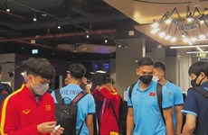 Football : le Vietnam en amical face aux Émirats arabes unis